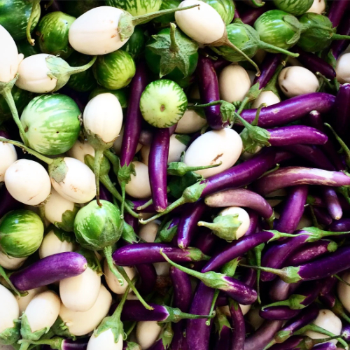 brinjal exporter in bangladesh