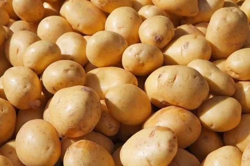 dimond potato