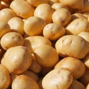 organic fresh potato from uttar pradesh 500x500