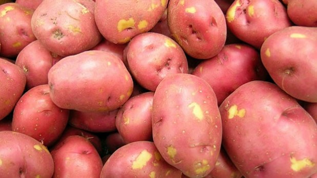 potatoes1