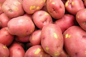 potatoes1